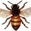 Profile picture for workabee