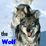 Profile picture for Realtor Wolf