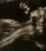 Profile picture for Amanda Peters