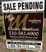 Profile picture for Christy Morrison