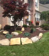 Profile picture for Clutch Landscaping