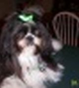 Profile picture for BcCb