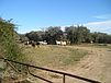 1144 County Road 17