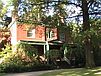 311 Maple Ave