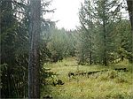 Nhn Browns Meadow Rd, Marion, MT