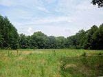 Hwy 183, Marion, AL