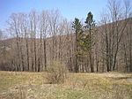 Cty Hwy 21 Mls # 89608, Bartlett Hollow, NY