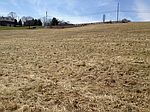 Cole Rd LOT 2, Marshall, PA