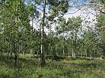 440 Oxford Ln, Woodland Park, CO