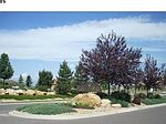 2434 Marshall Ct, Erie, CO