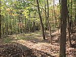 1226 Taos Ln, Bremen, OH