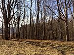 Fayette St, Beckley, WV