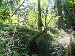 39800 272nd Ave SE, Enumclaw, WA