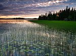 Lake Ave LOT 304, Minto, AK