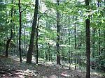 P 106 Point Lookout Ln, Independence, VA