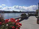623 Gloucester Ln, Foster City, CA