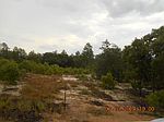 N/a Coleman Bridge Spur, Cobbtown, GA