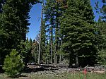 Trapper Rd LOT 71, Alturas, CA