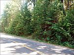 13400 La Porte Rd, Strawberry Valley, CA