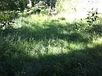 51 Imlaystown Rd # 53, Imlaystown, NJ