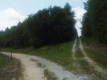 Lee Rd# 124, Salem, AL