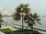 1331 Brickell Dr, Miami, FL