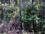 103 Rita St, Jarvisburg, NC