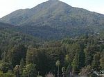 10 Palm Ct, Larkspur, CA