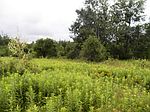 State Rd, Deckerville, MI