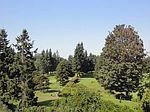 1807 S 118th St, Seattle, WA