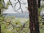 Johnny's Dr, Timberon, NM