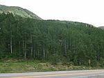 (undisclosed Address), Rico, CO