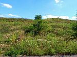 Lot # 818 Network, Cecil Township, PA