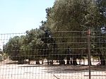 30287 Chihuahua Valley Rd, Warner Springs, CA