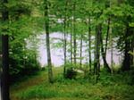 5065 W Silver Lake Rd, Laona, WI