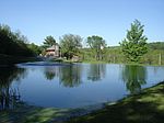 1328 County Highway 38, Worcester, NY