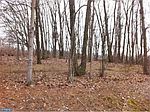 2216 & 2217 Wynonah Dr, Auburn, PA