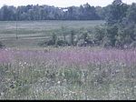 0 Pavlus Rd, Mohawk, NY