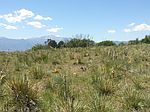 4806 Calverton Pl, Colorado Springs, CO